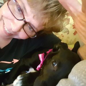 Meet your Posher, Joanne